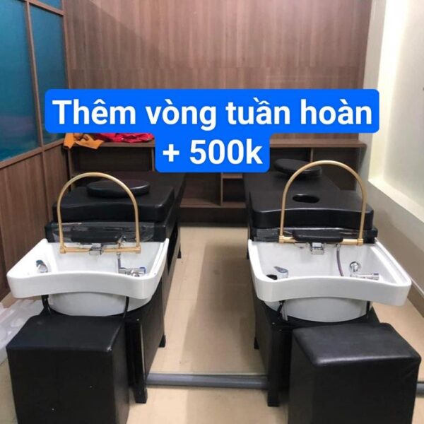 Giường Gội Đầu Dưỡng Sinh Spa Chân Sắt Chậu Nhựa Tai Thỏ - Ảnh 02
