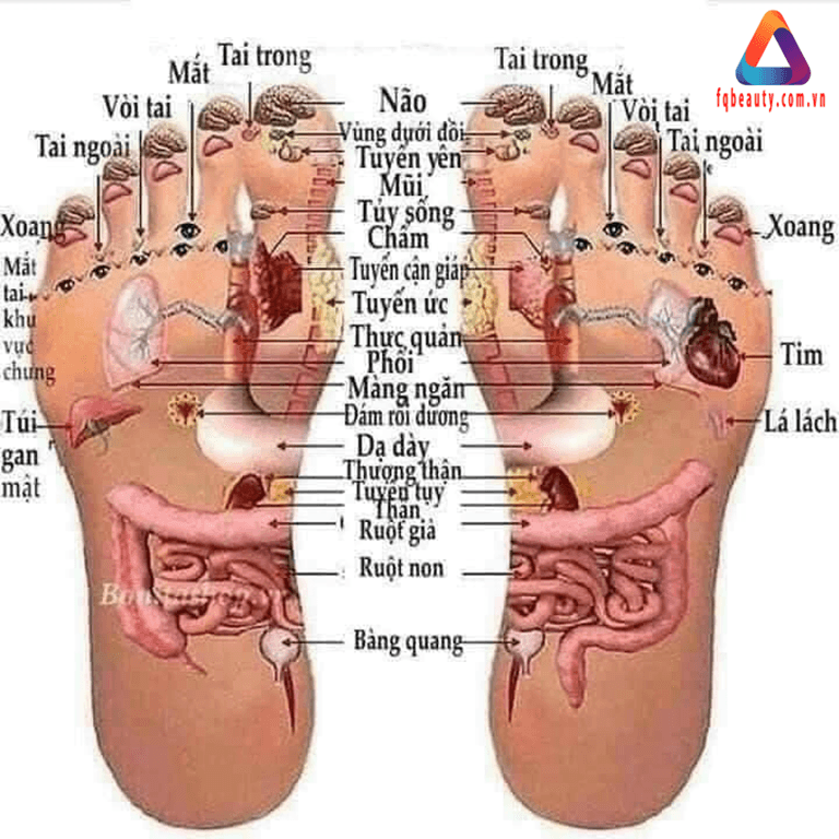 Chậu ngâm chân điện có sục khí massage chân - Ảnh 01